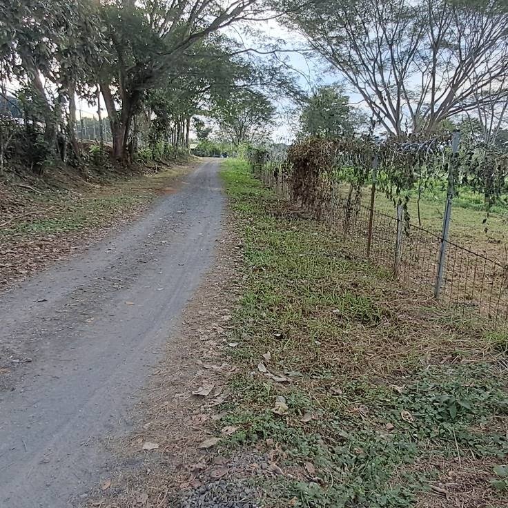 calle