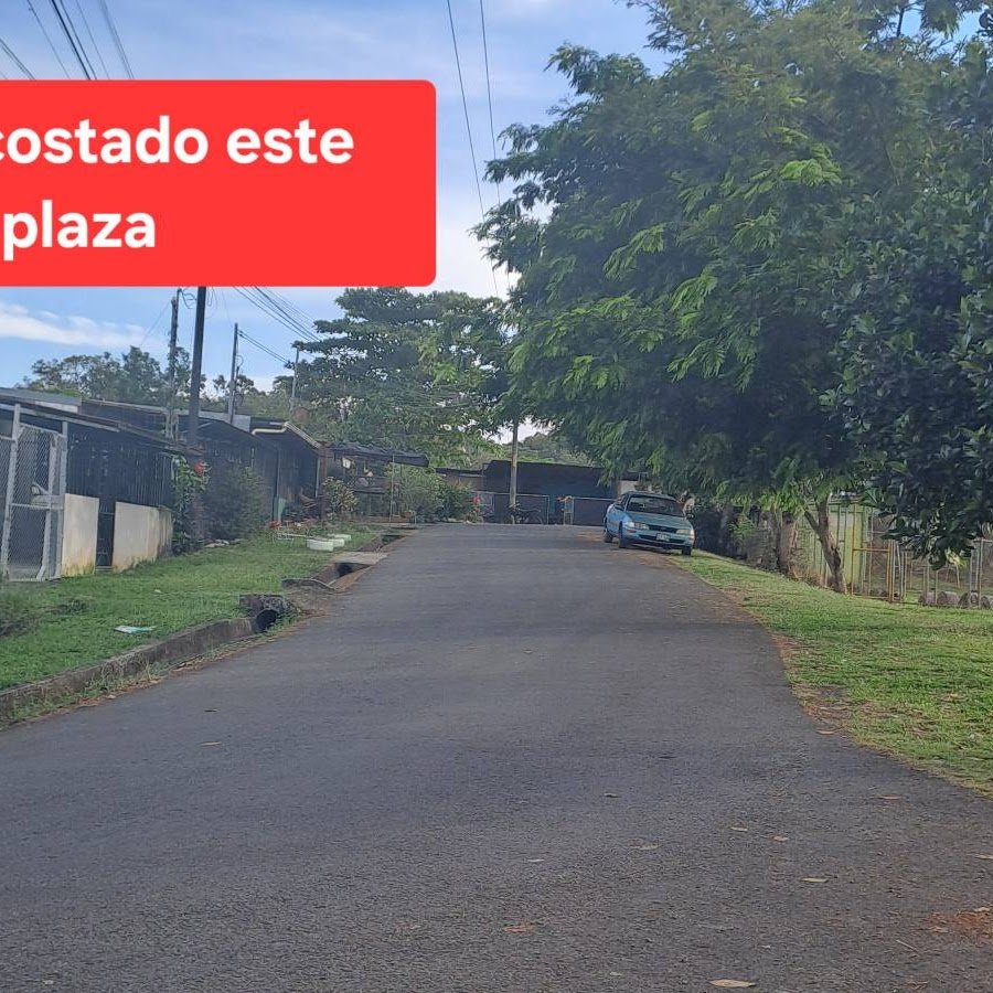 frente